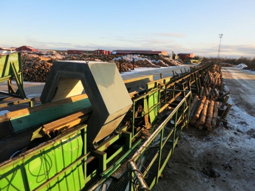 Used log sorting line for sale