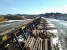 Complete log sorting line
