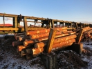 Used log sorting line for sale