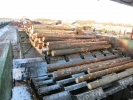 Used log sorting line for sale