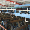 Varieties conveyor with pneumatic pusher