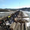 Used log sorting line pockets