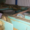 Used stick conveyor
