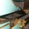 Used stick conveyor