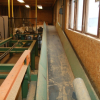 Used chip conveyor