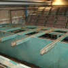 Used elevator combi wood sorting line