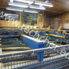 Lumber sorting and packing line used